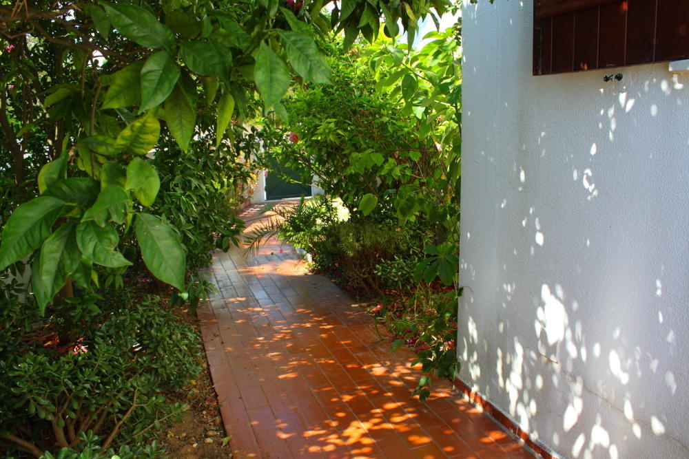 Villa Alves Carvoeiro  Exterior photo